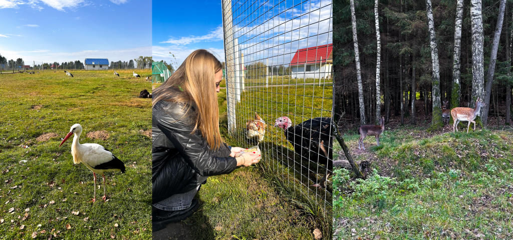 Frame 11862.png Frame 11862.png