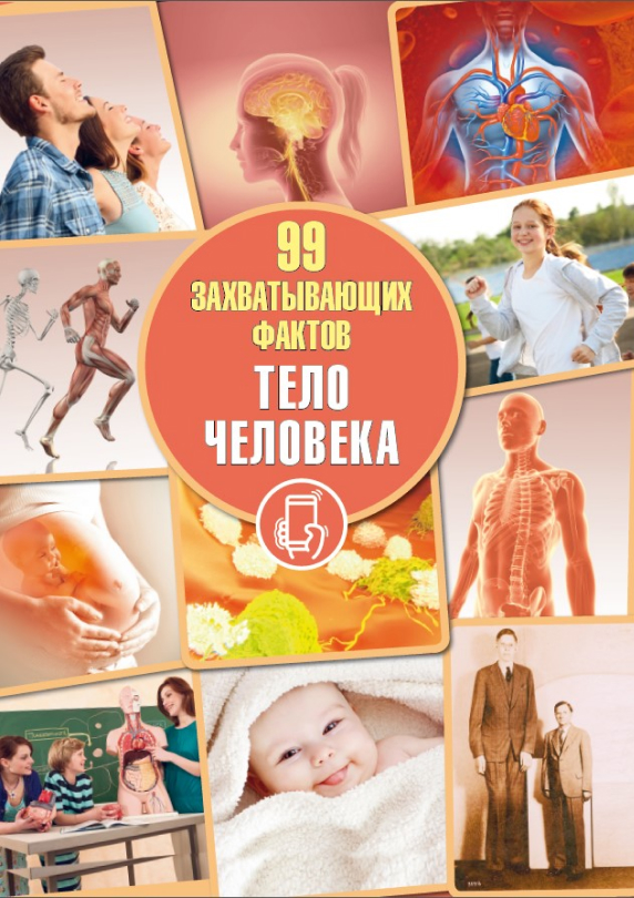 telo_cheloveka_6.jpg